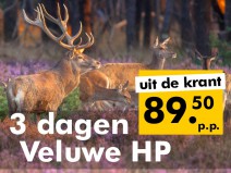 4* Van der Valk Leusden-Amersfoort 4* Van der Valk Leusden-Amersfoort